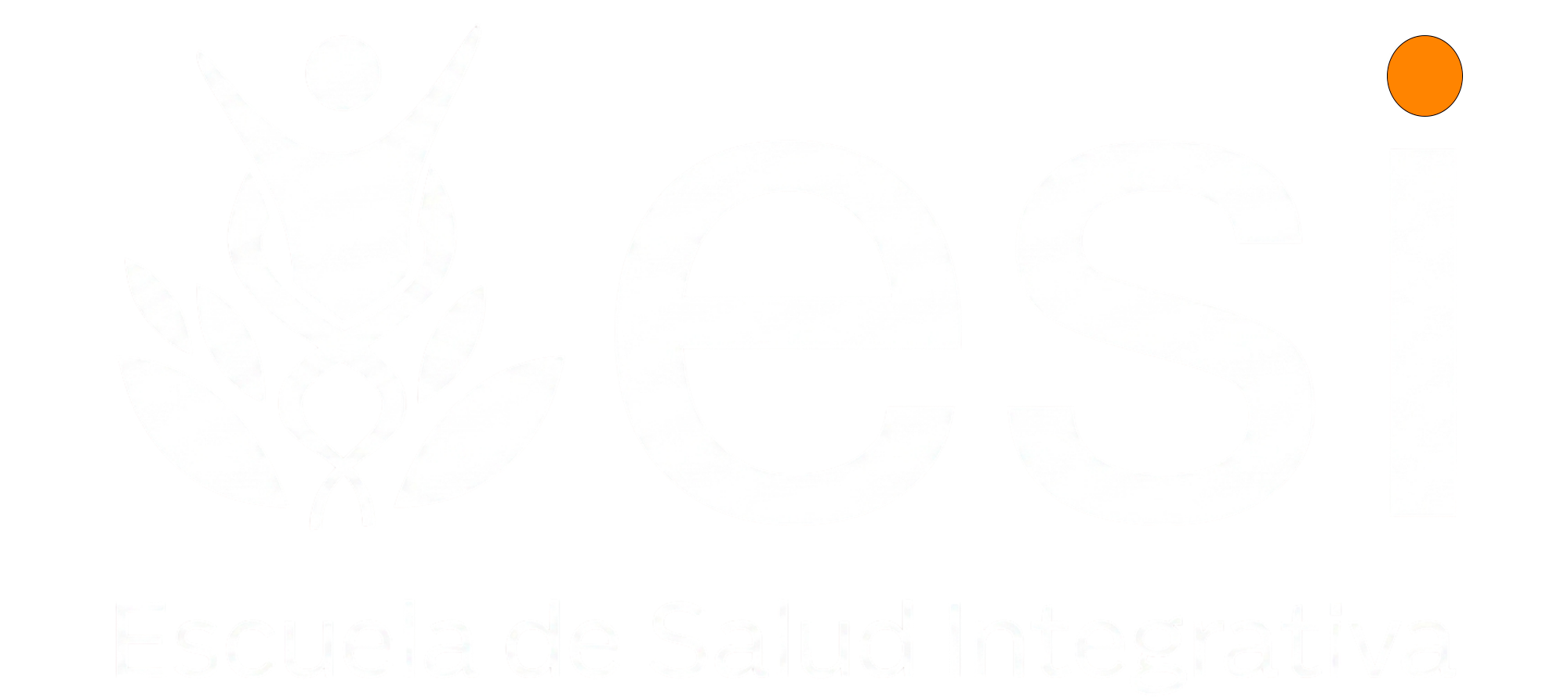 ESI Academy