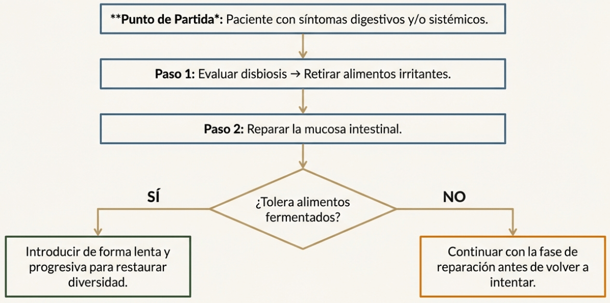 Algoritmo clínico de decisión para la introducción de alimentos fermentados.