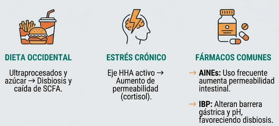 Triada de factores de estilo de vida: impacto de dieta, estrés y fármacos en la microbiota.