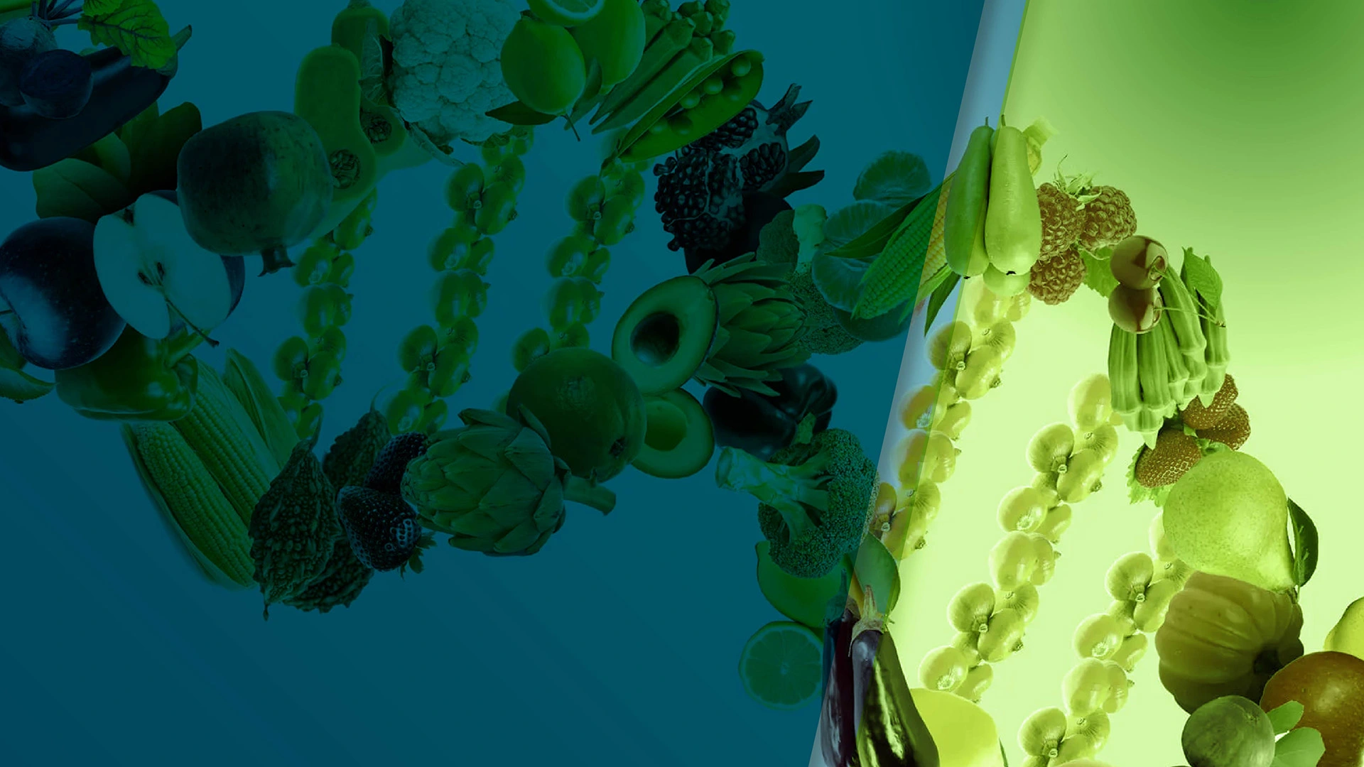 Experto en nutrición aplicada en clínica