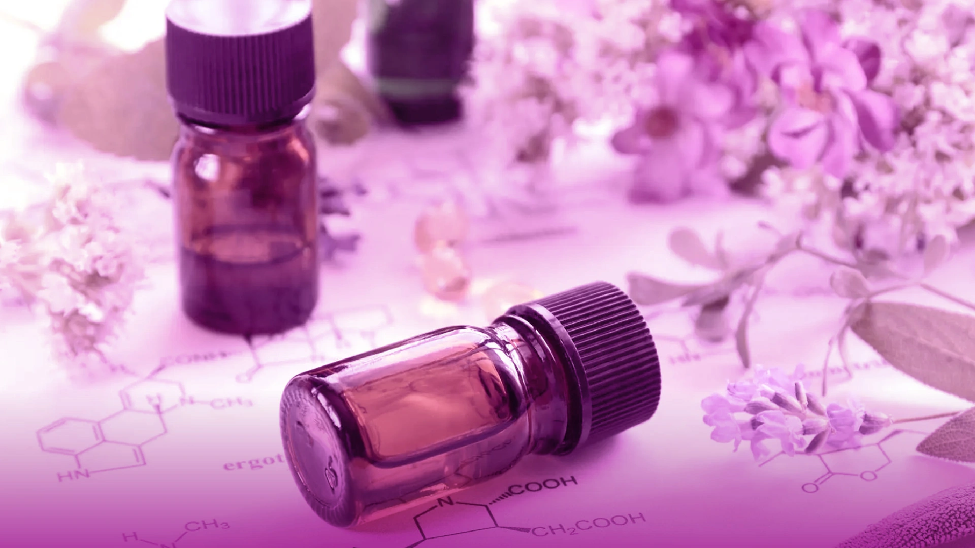 Curso Avanzado Aceites Esenciales