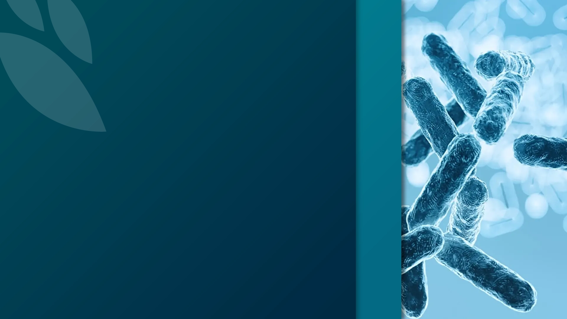 Máster en Microbiota