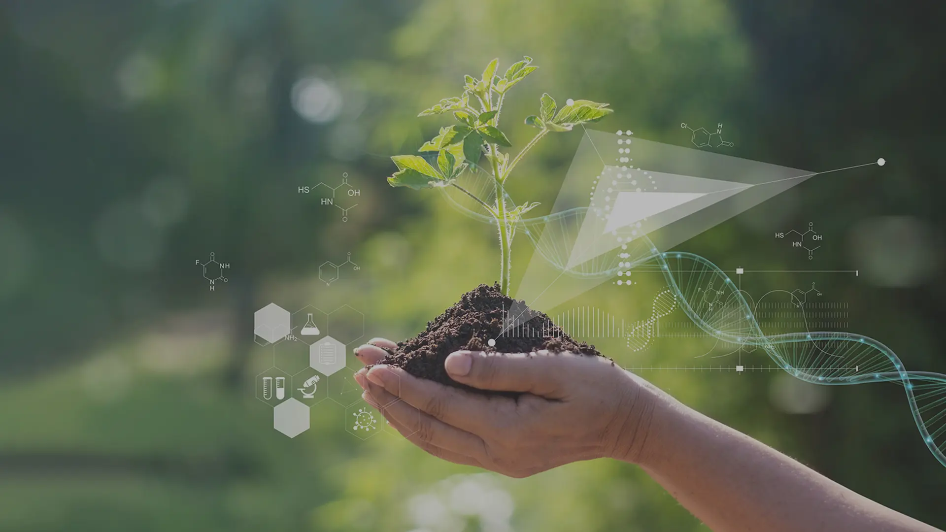 Experto en Medicina Ambiental de precisión