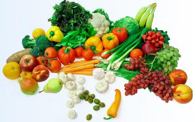La dieta integrativa