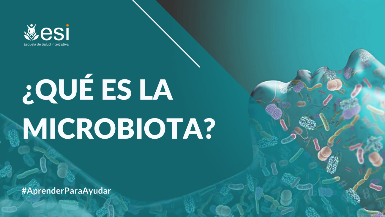 ¿Qué es la microbiota?