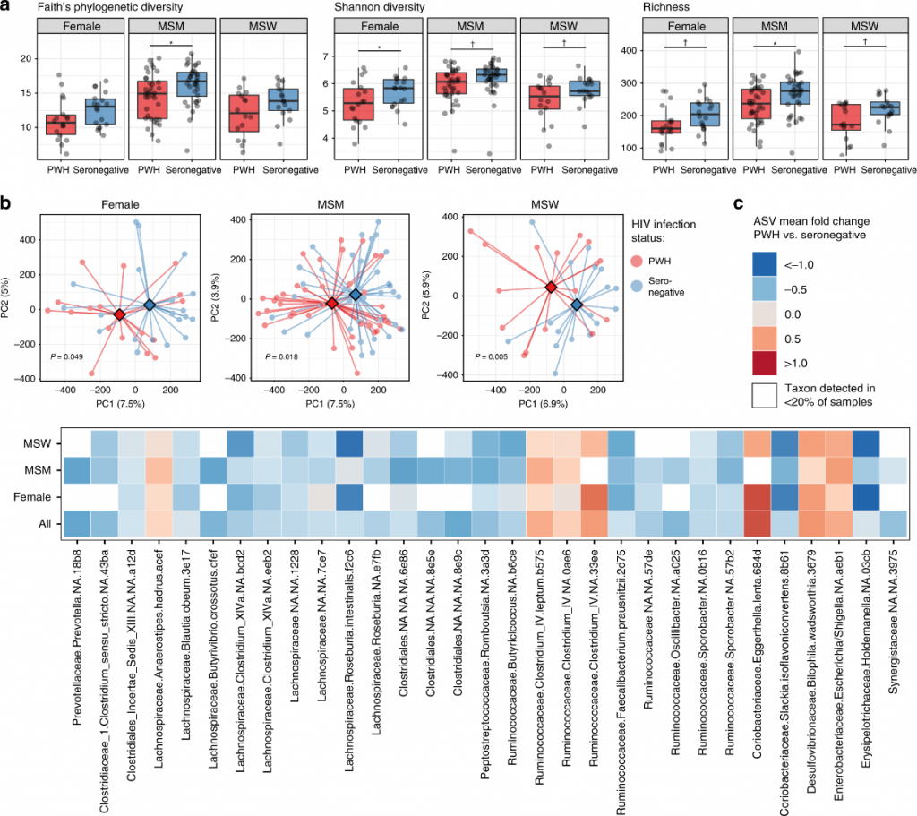 Las diferencias en la composición de la microbiota intestinal son evidentes dentro de los subgrupos de práctica sexual Las diferencias en la composición de la microbiota intestinal son evidentes dentro de los subgrupos de práctica sexual