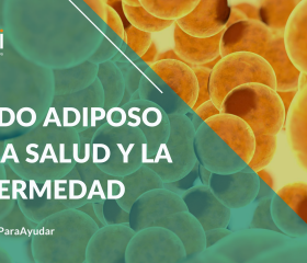 TEJIDO ADIPOSO EN LA SALUD Y EN LA ENFERMEDAD