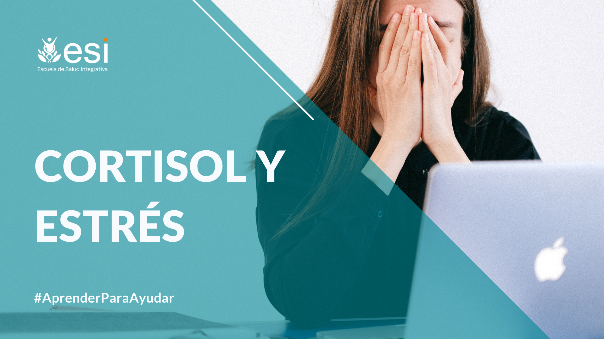 cortisol y estrés