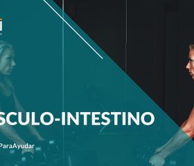 eje músculo-intestino