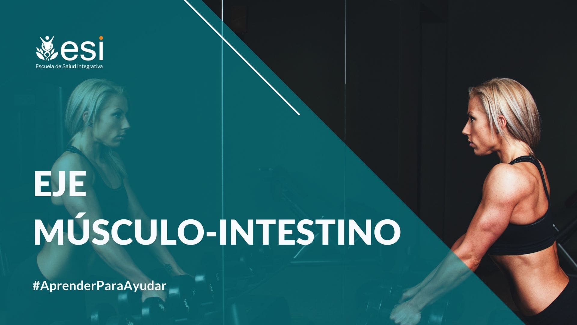 eje músculo-intestino