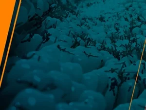 EXPERTO-Microbiota-destacada(1)