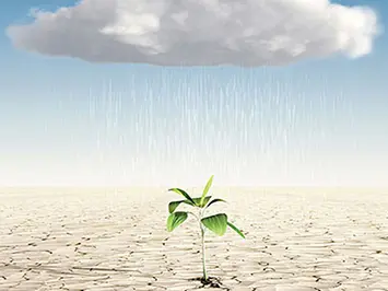 MEDICINA AMBIENTAL: determinantes ambientales de salud y enfermedad