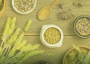 AVANZADO Fitoterapia clínica integrativa