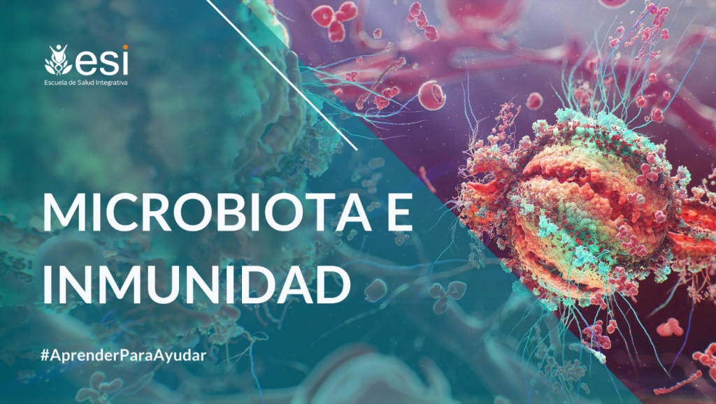 Microbiota e Inmunidad