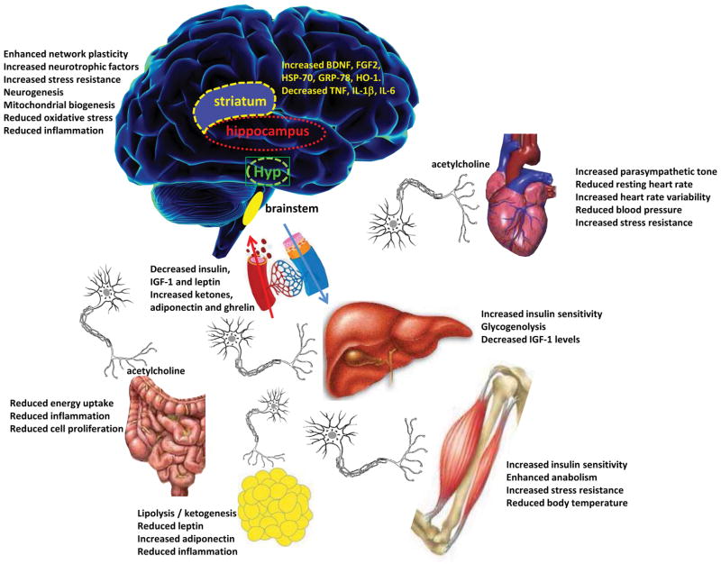 NIHMS551820.html