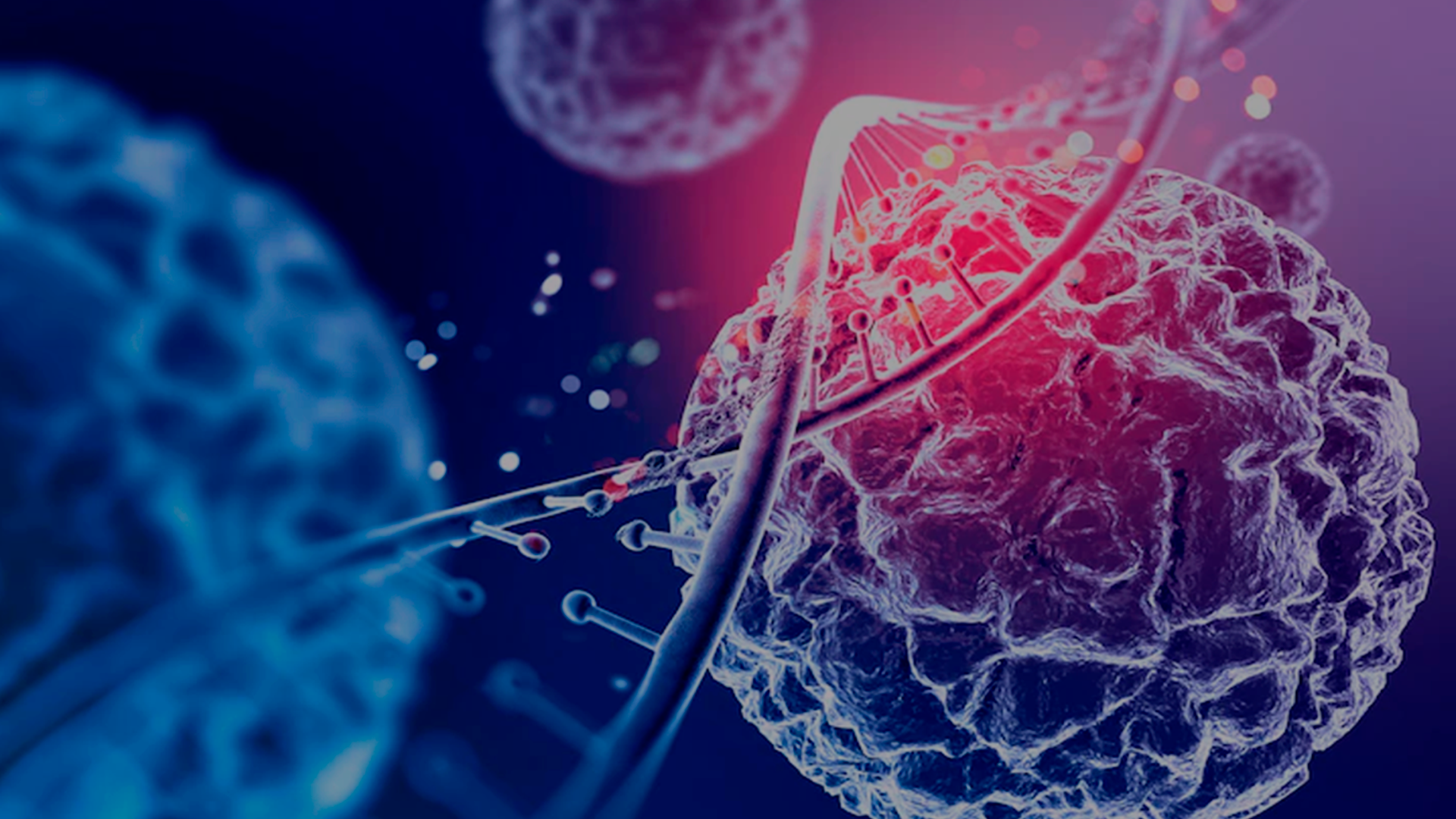 Experto en microbiota y medicina de precisión