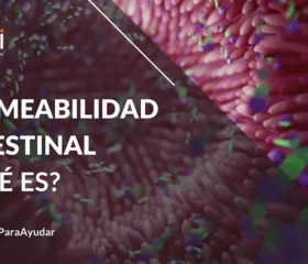 Permeabilidad intestinal, ¿qué es?