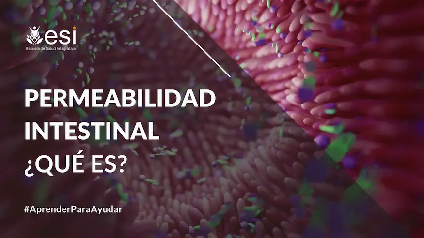 Permeabilidad intestinal, ¿qué es?
