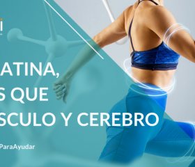 Creatina: Más que músculo y cerebro
