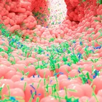 curso avanzado microbiota
