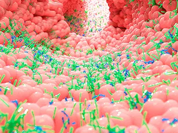 curso avanzado microbiota