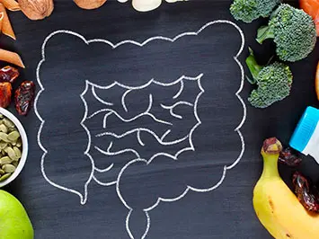 Masterclass – Influencia de la dieta y el eje materno fetal en la microbiota: implicaciones clínicas y terapéuticas