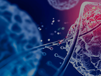 Experto en microbiota y medicina de precisión