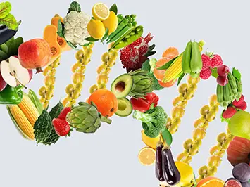 destacada-exp-nutri-v