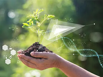Experto Medicina Ambiental