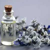 Experto en nutrición aplicada en clínica – Ed III 2022 Inicio: 16 de enero de 2022 Tercera edición de un programa formativo extenso y completo donde desarrollar todas las capacidades teórico-prácticas para la mejora profesional. Curso fitoaromaterapia en el manejo del dolor
