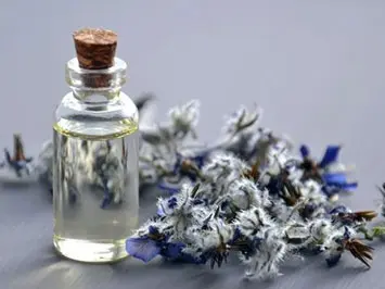 Experto en nutrición aplicada en clínica – Ed III 2022 Inicio: 16 de enero de 2022 Tercera edición de un programa formativo extenso y completo donde desarrollar todas las capacidades teórico-prácticas para la mejora profesional. Curso fitoaromaterapia en el manejo del dolor