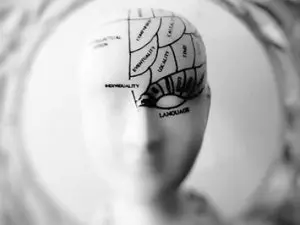Curso neurociencia terapeutica