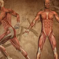 reprogramación neurodinámica