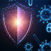 Microbiota y salud intestinal