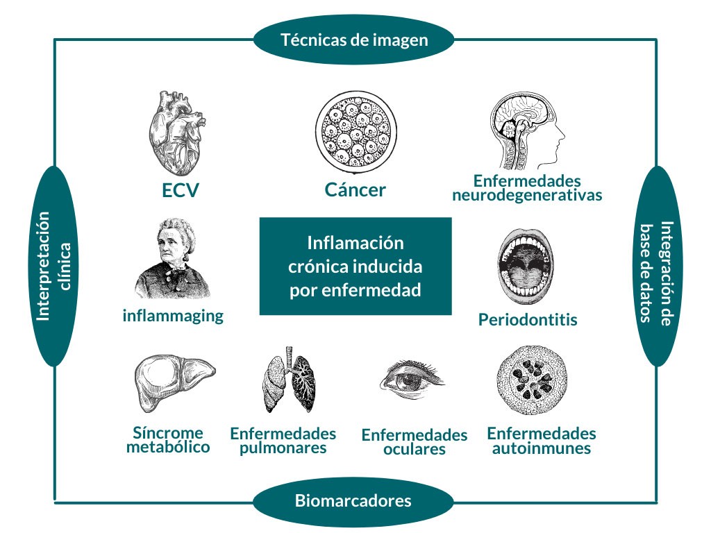 Inflamación crónica inducida por enfermedad