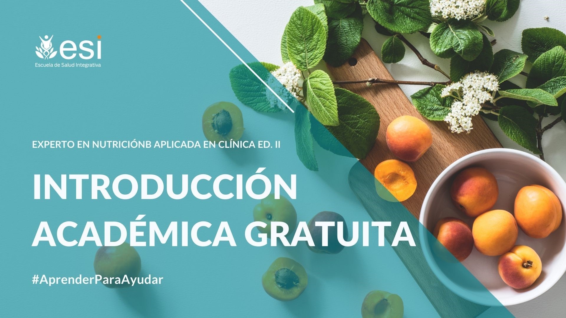 Introducción al Experto en Nutrición Clínica